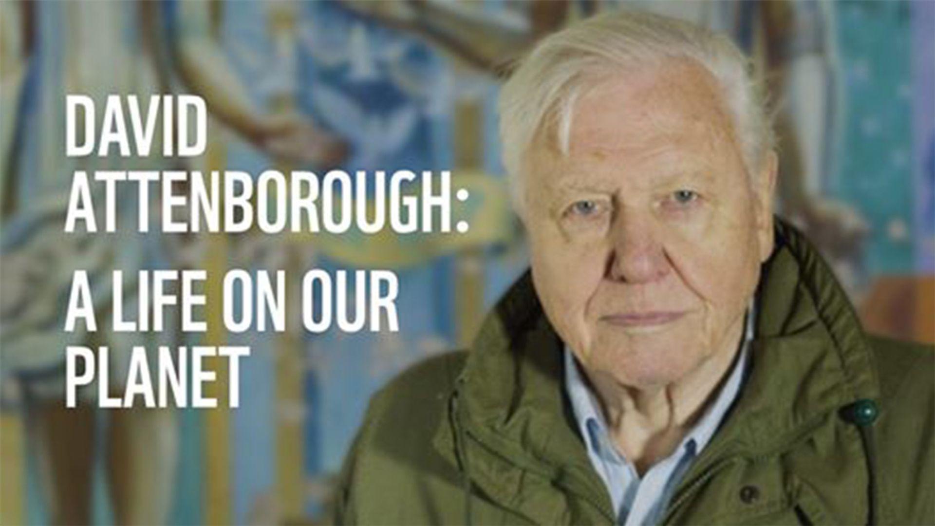 Download David Attenborough A Life On Our Planet Trailer Download Pics