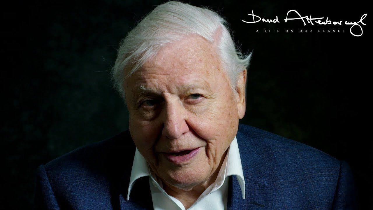 1280x720 David Attenborough, Chewing Gum, Hitchcock and more: what's streaming in Australia in October. Television & radio