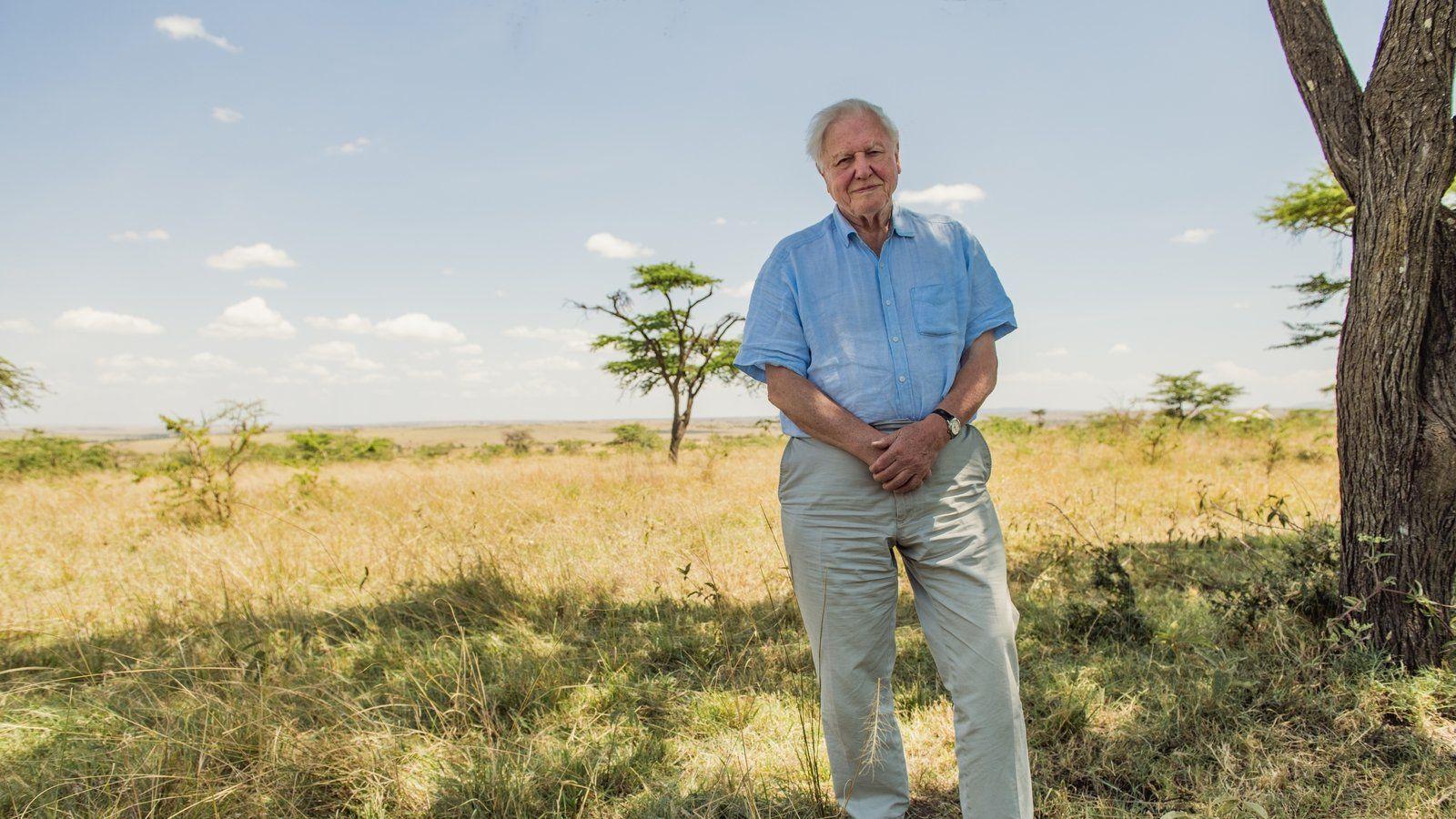 1600x900 David Attenborough: A Life on Our Planet movie review : David Attenborough is out to save the world in new film