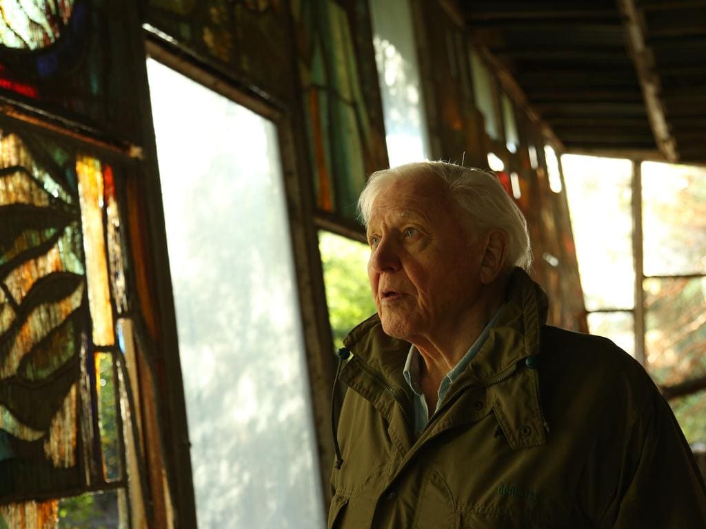 1024x768 David Attenborough recalls A life on the Planet in first feature film
