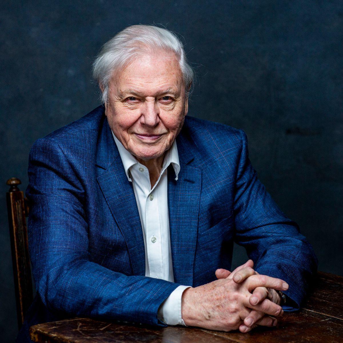 1200x1200 David Attenborough urges public to ditch meat and go vegetarian to save planet