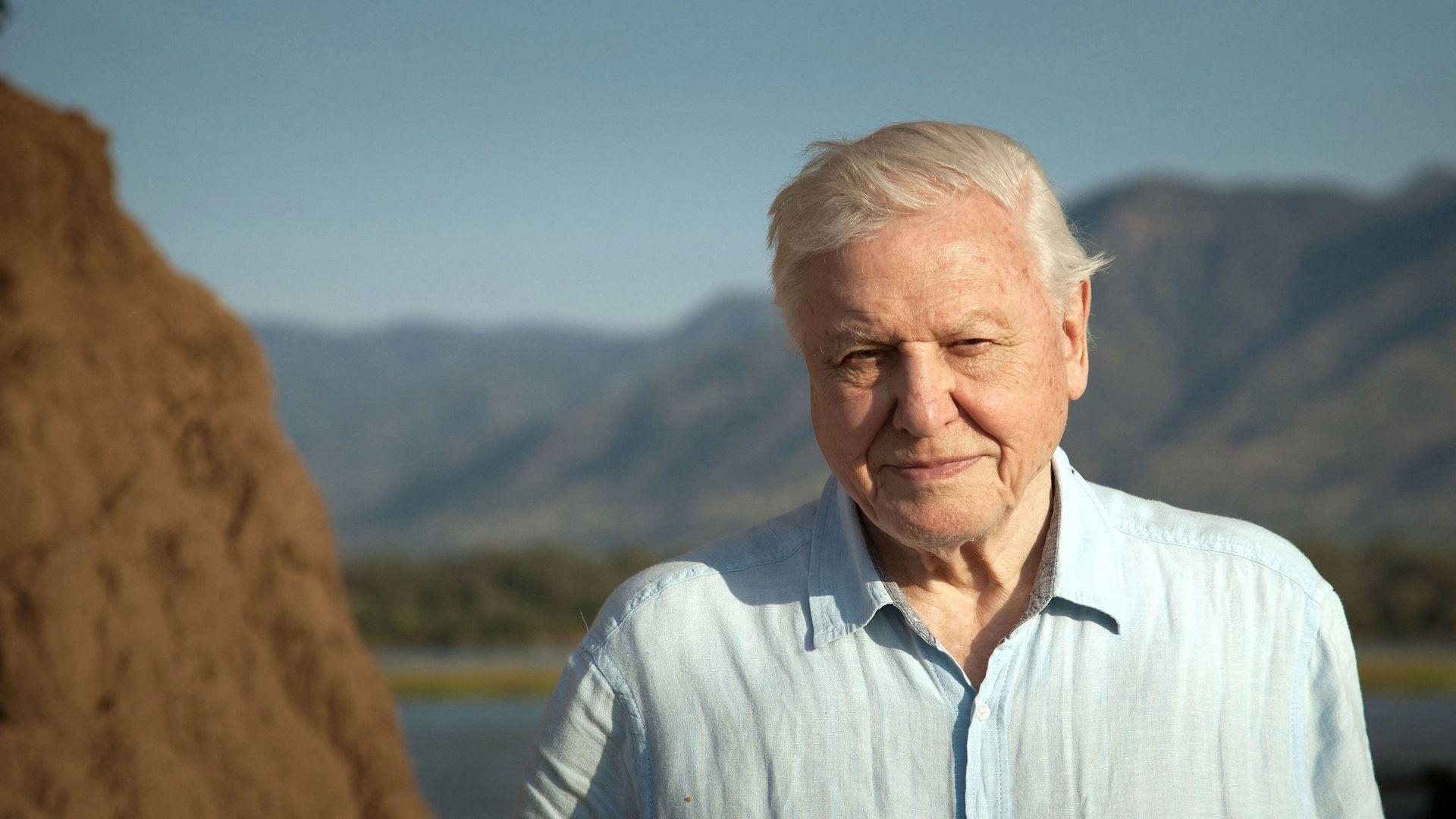 1920x1080 David Attenborough: A Life On Our Planet + Satellite Q&A is Clapham