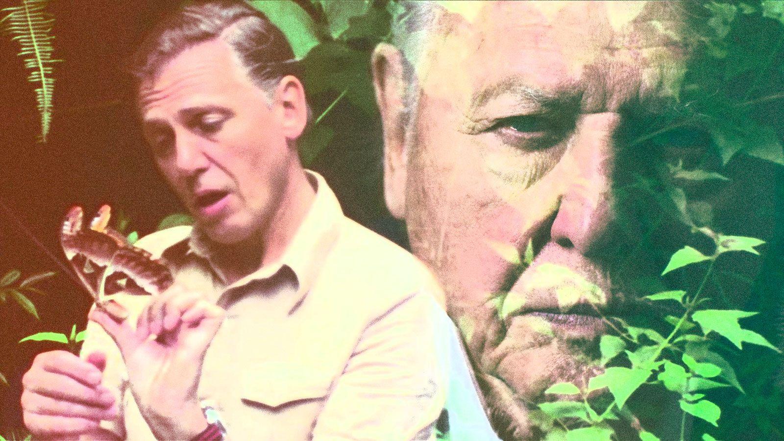 1600x900 Now on Netflix: David Attenborough's disappearing wilderness