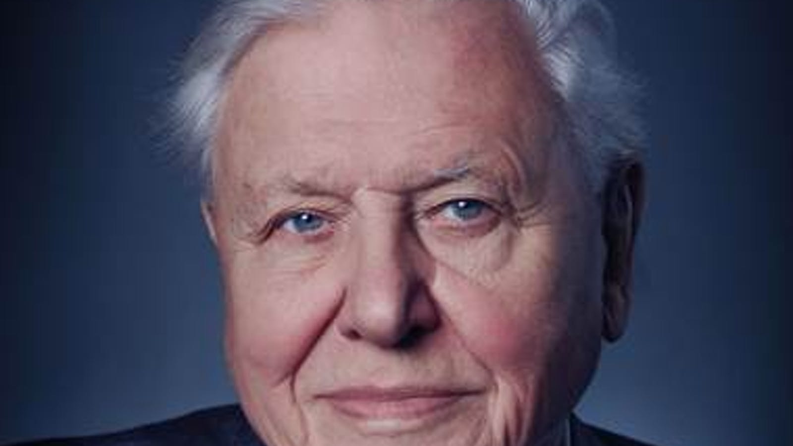 1600x900 David Attenborough: A Life on Our Planet