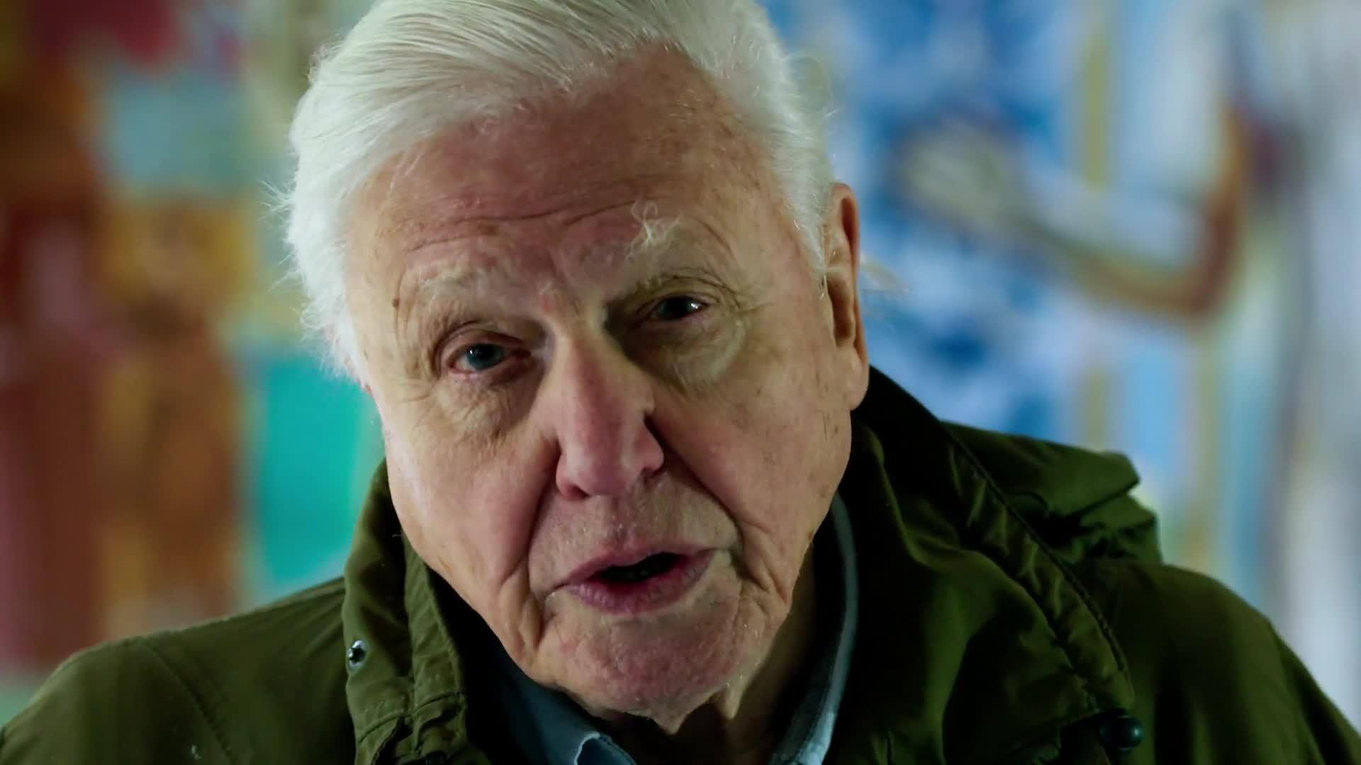 1920x1080 Human beings have overrun the world' says Sir David Attenborough in new film