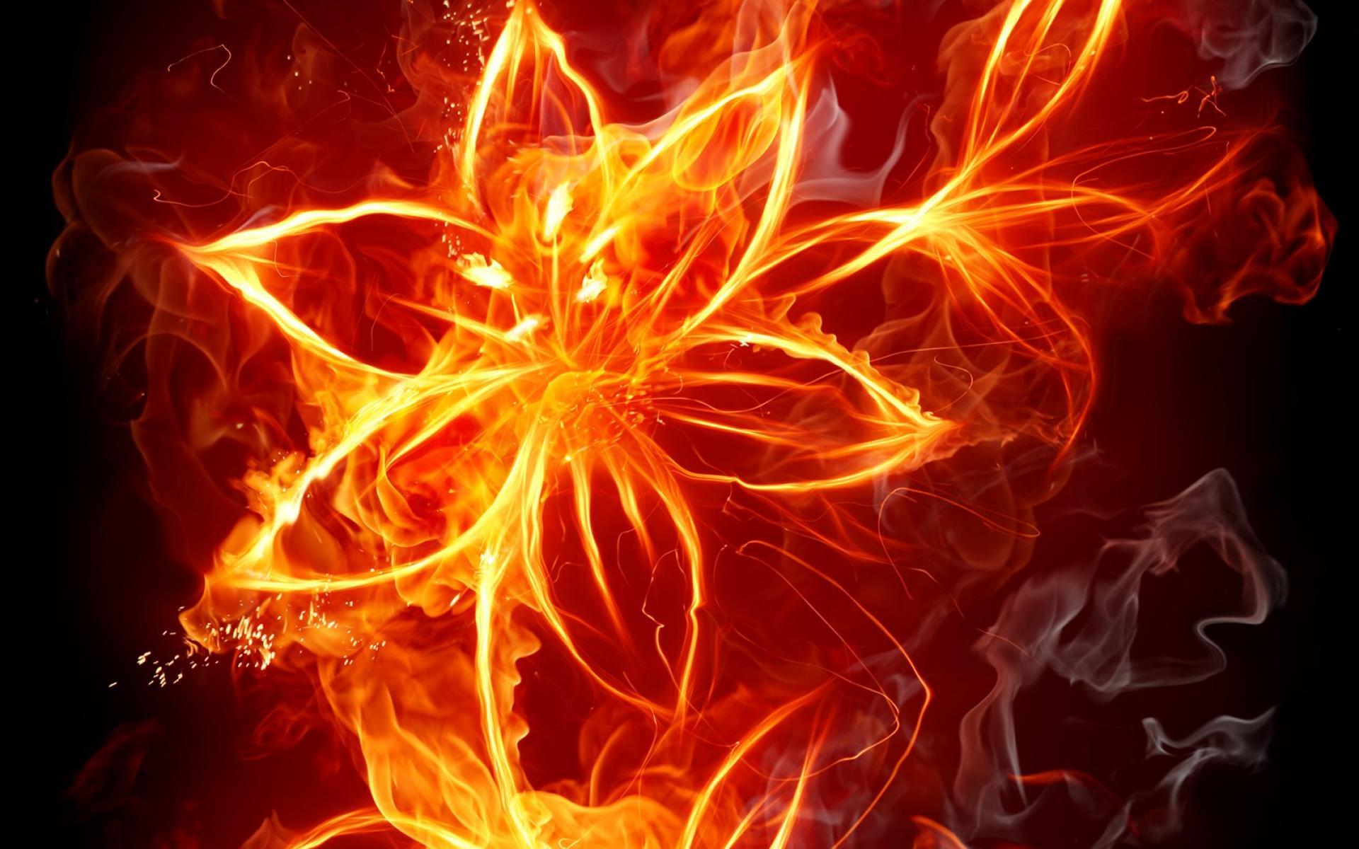 1920x1200 Fire Flowers Wallpaper HD