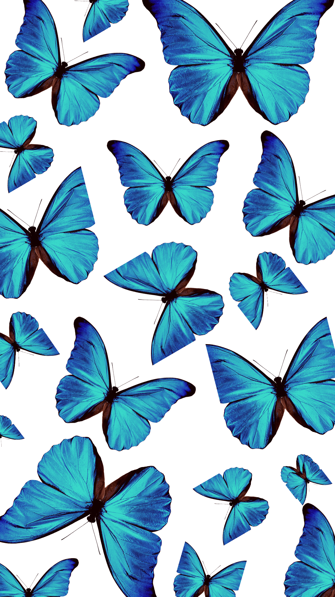 1080x1920 Blue Aesthetic Wallpaper. Butterfly wallpaper background, Butterfly wallpaper iphone, Blue butterfly wallpaper