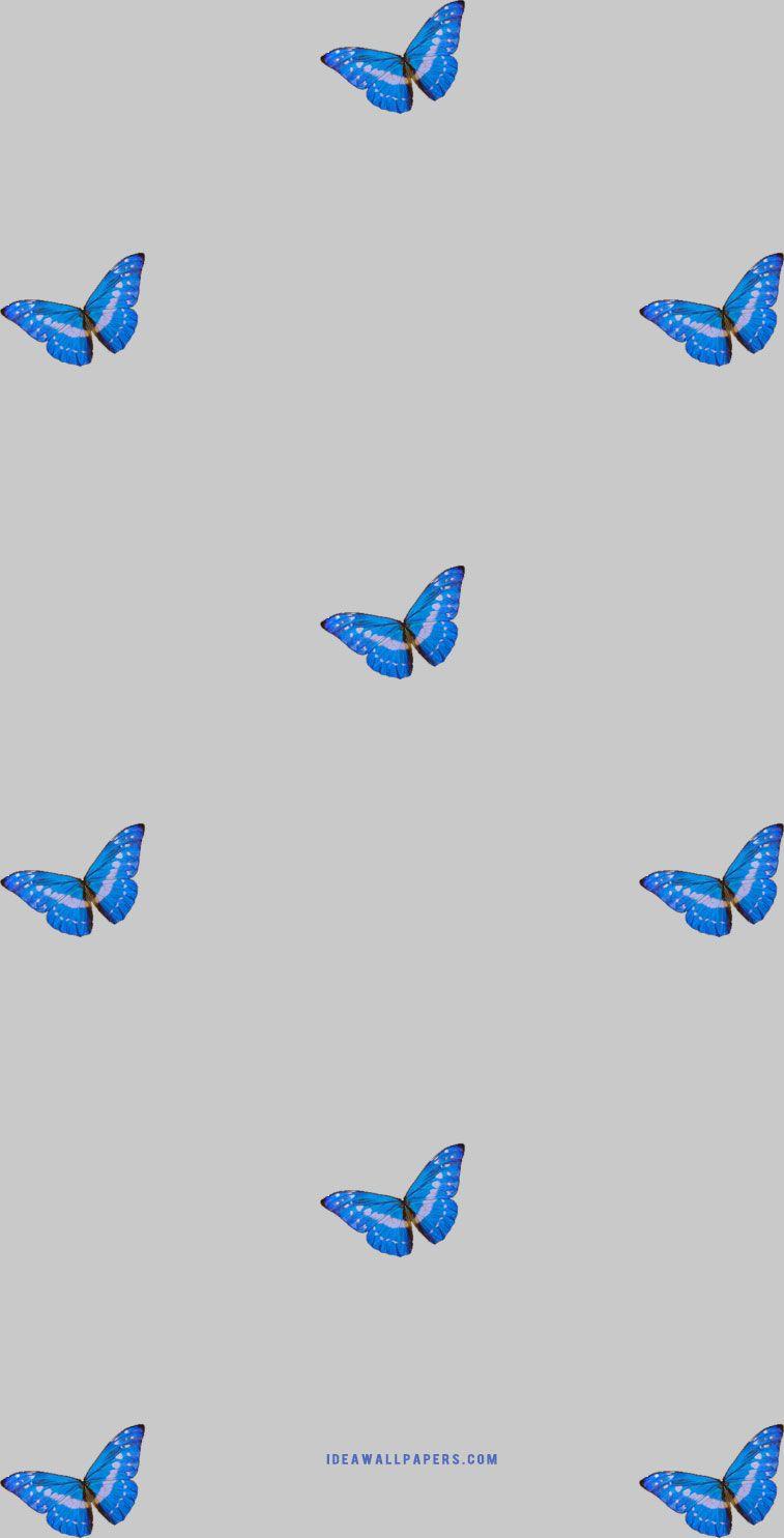 757x1485 Fun iPhone Wallpaper