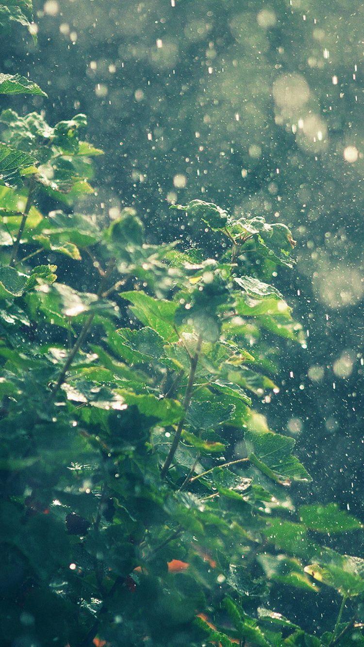 750x1334 Summer Rain Water Drops Bokeh iPhone 6 Wallpaper HD