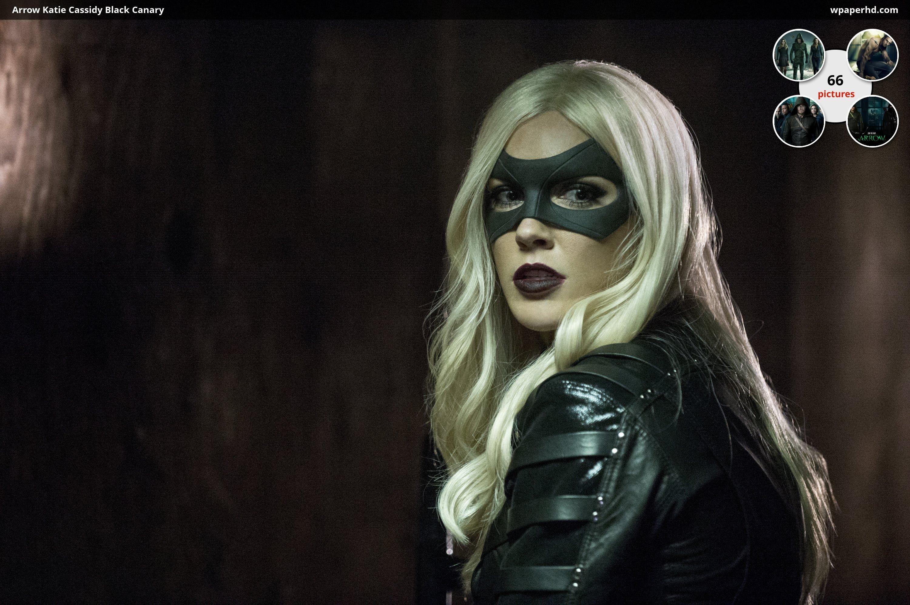 3000x1997 Black Canary Wallpaper