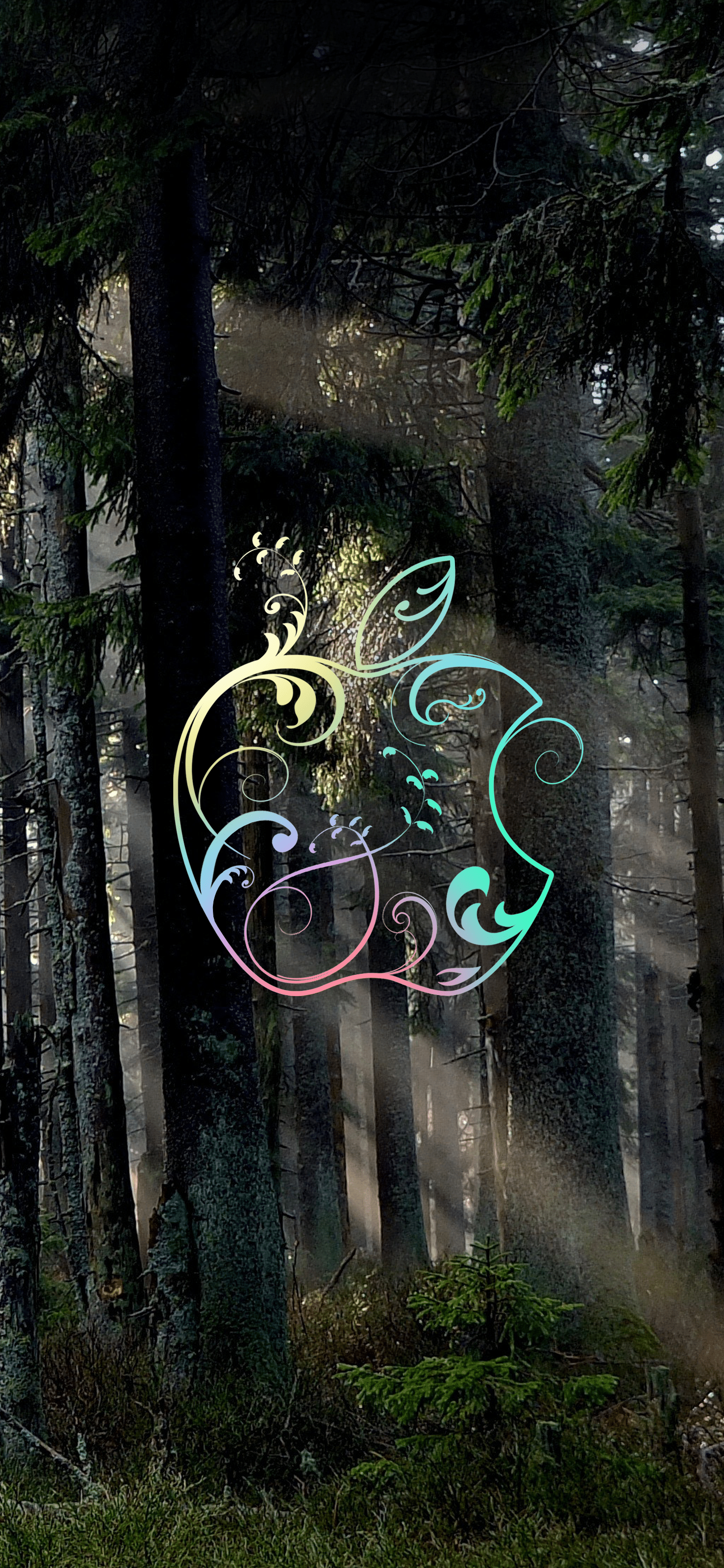 1496x3238 Download our exclusive Rainforest Wallpaper for iPhone 11