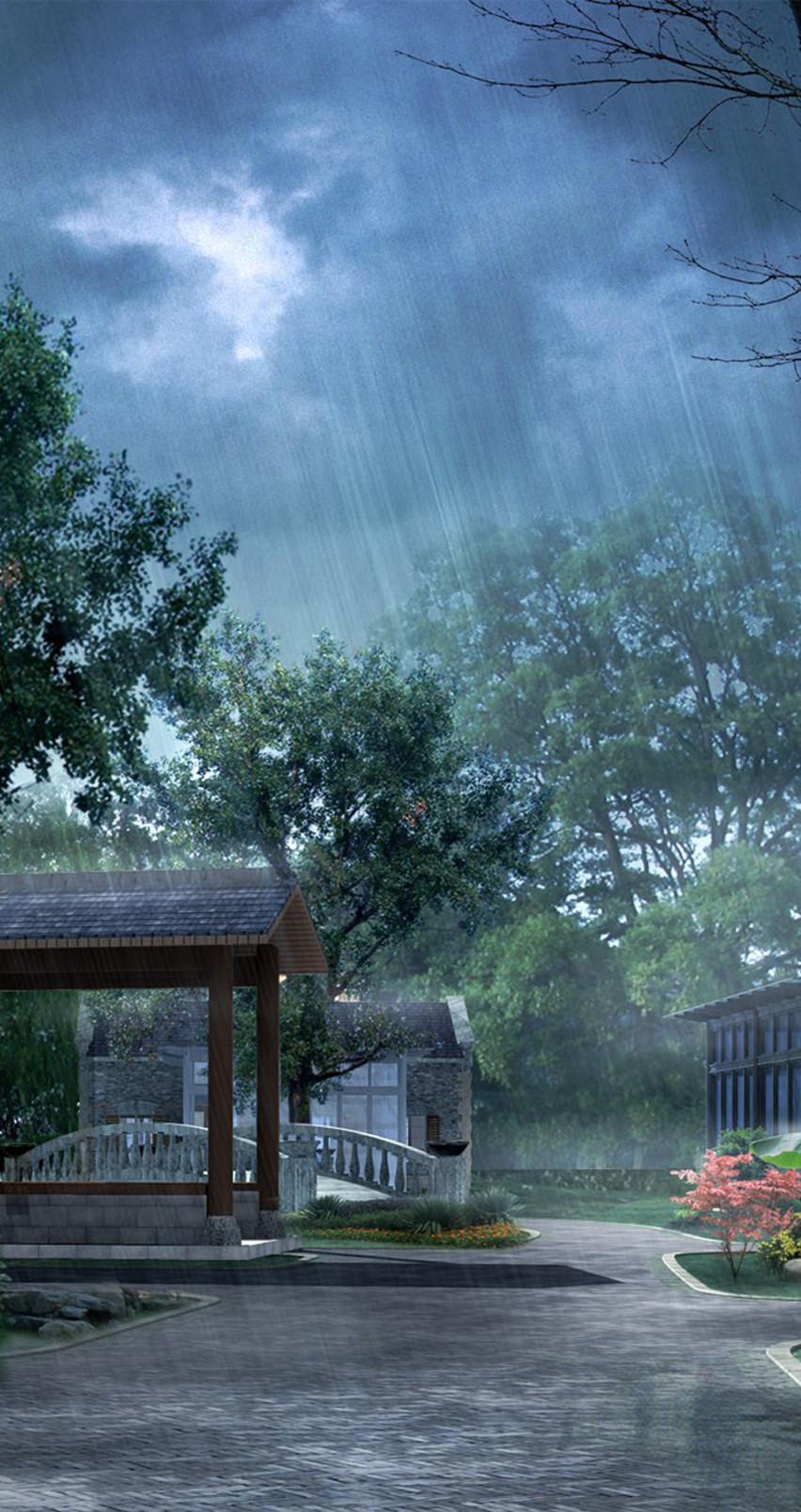 852x1608 Daytime Raining Wallpaper 852x1608 px