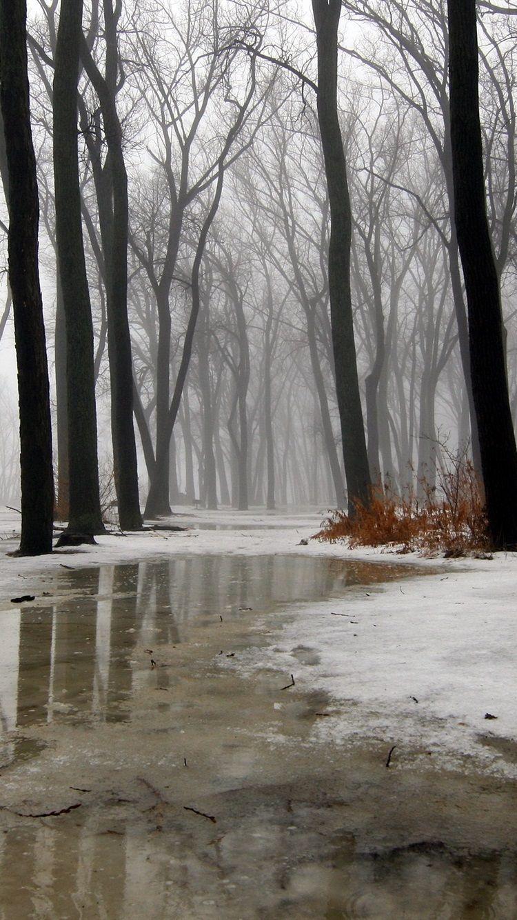 750x1334 Winter, Trees, Snow, Ice, Water, Fog, Rain 750x1334 IPhone 8 7 6 6S Wallpaper, Background, Picture, Image