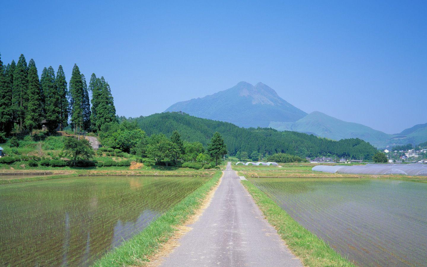 Japanese Countryside Wallpaper Landscape