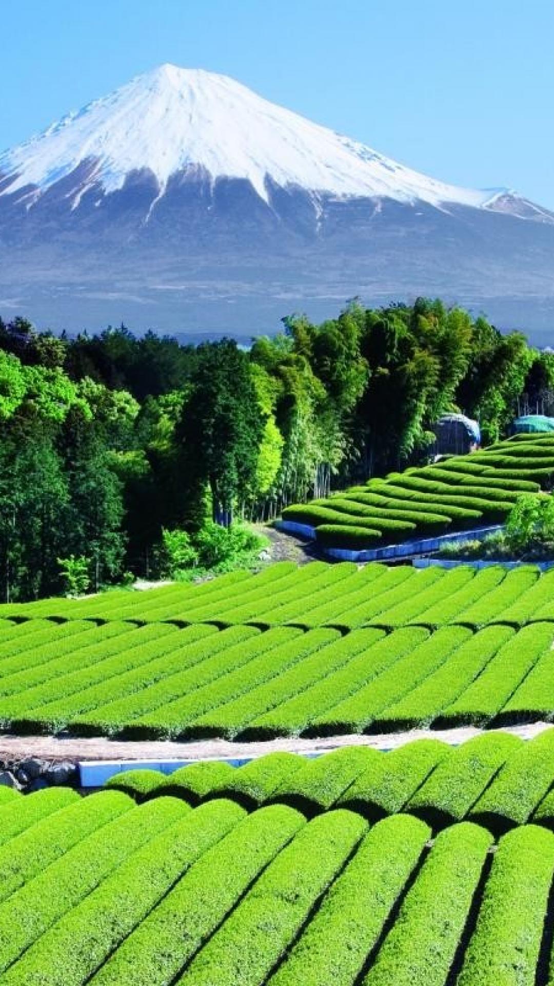 Japanese Countryside Wallpaper Landscape