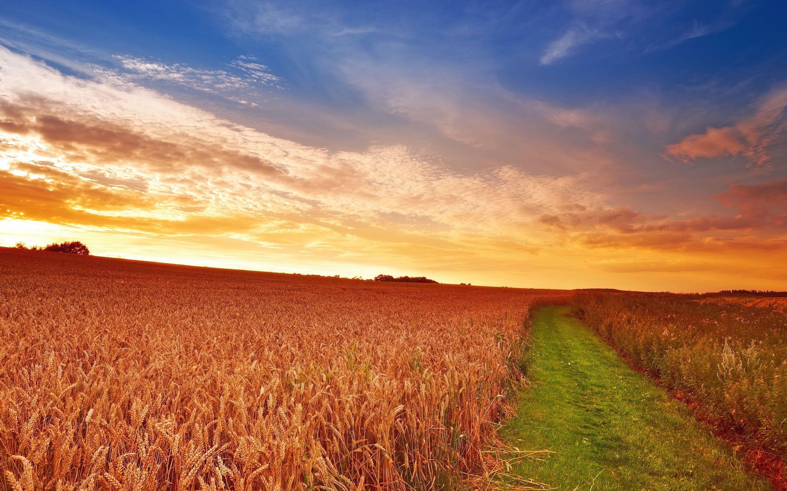 2560x1600 countryside scenery HD Desktop Wallpaperk HD