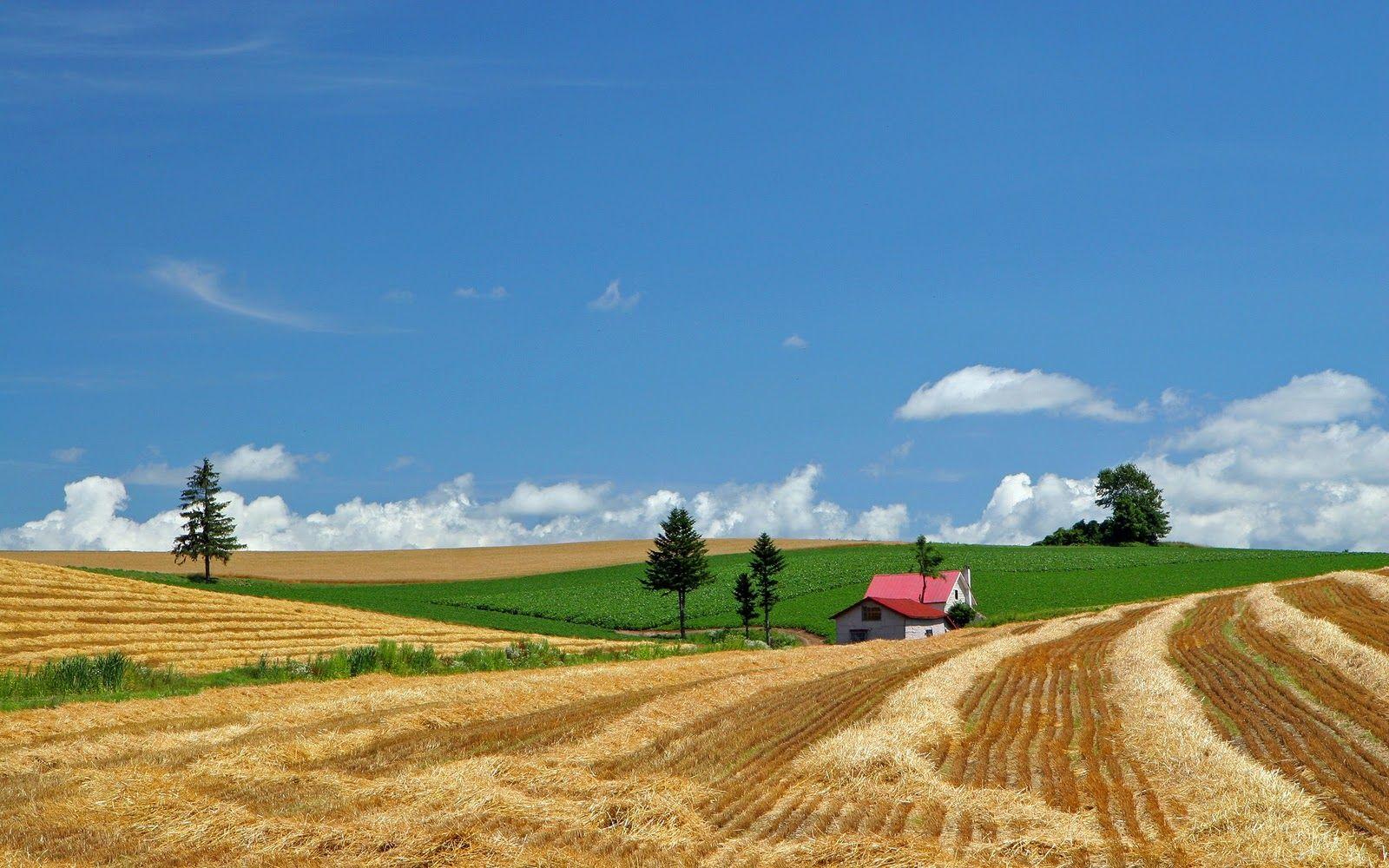 1600x1000 Domo Wallpaper: Hokkaido countryside Japanese wallpaper