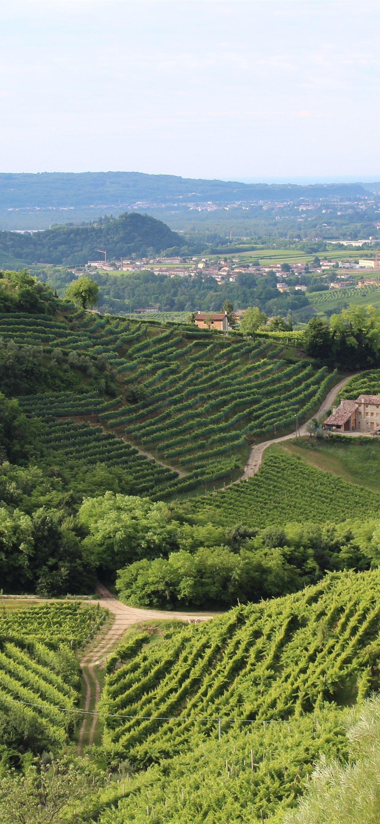 1242x2688 Village, Countryside, Plants, Green, Mountains, Houses, Italy, Treviso 1242x2688 IPhone 11 Pro XS Max Wallpaper, Background, Picture, Image