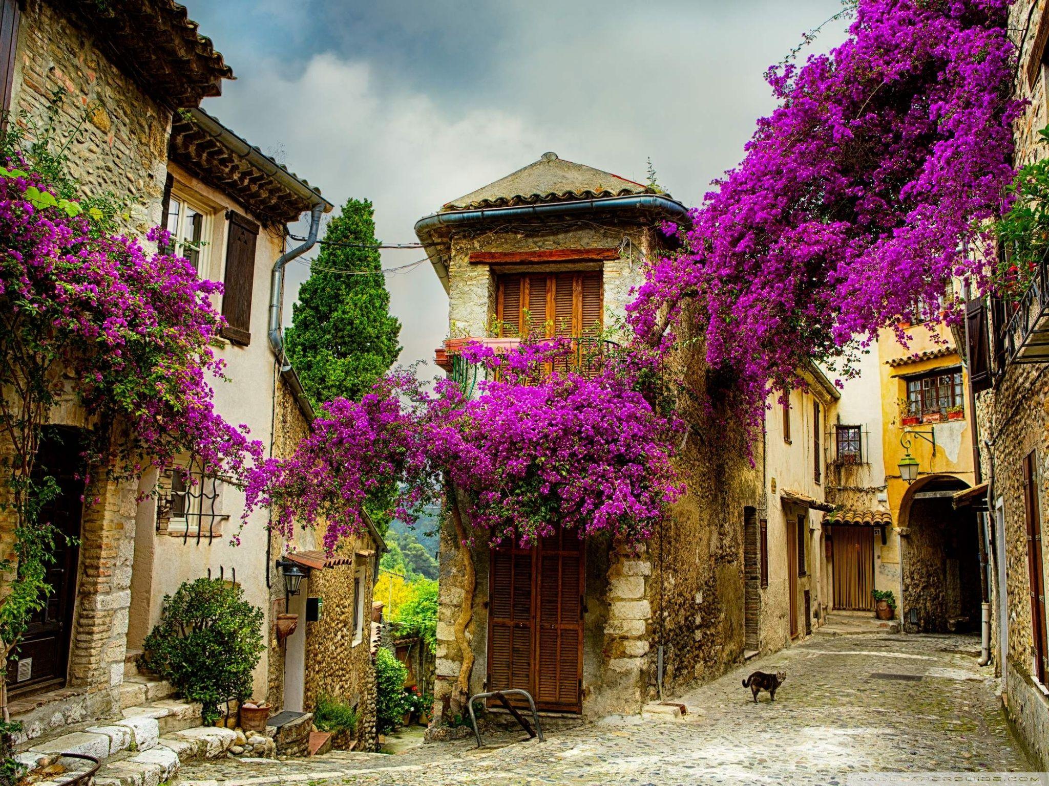 2048x1536 European Architecture Ultra HD Desktop Background Wallpaper for 4K UHD TV : Widescreen & UltraWide Desktop & Laptop : Tablet