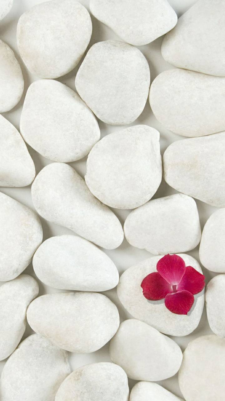 720x1280 white pebbles wallpaper
