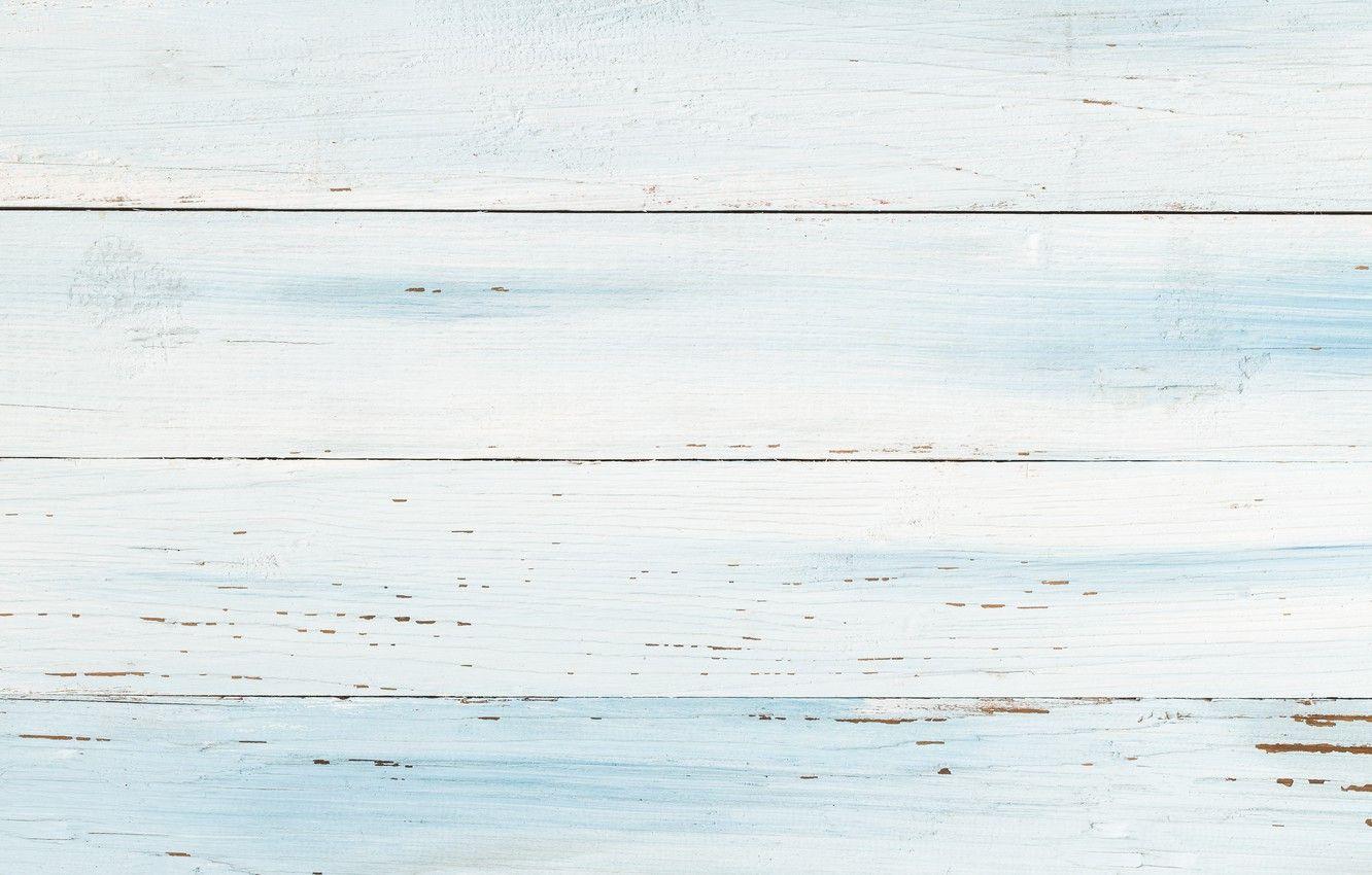 1332x850 Wallpaper white, background, tree, blue, texture, white, wood, texture, background, light blue image for desktop, section текстуры