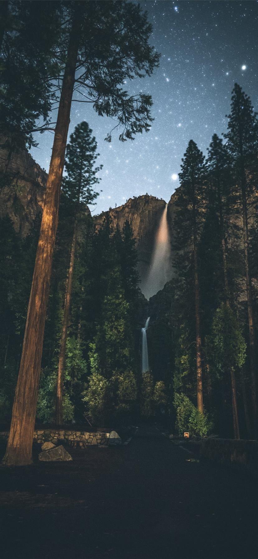 828x1792 forest painting iPhone X Wallpaper Free Download