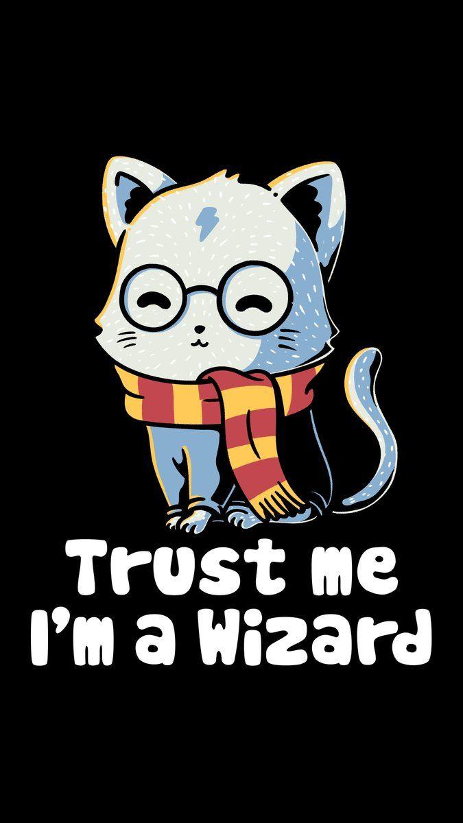 Harry Potter Cat Wallpapers - Top Free Harry Potter Cat Backgrounds - WallpaperAccess