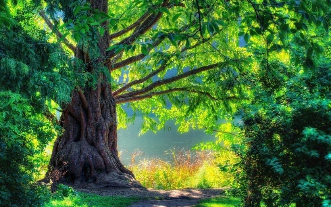 1152x720 Good Wallpaper For Desktop (1152x720 px)
