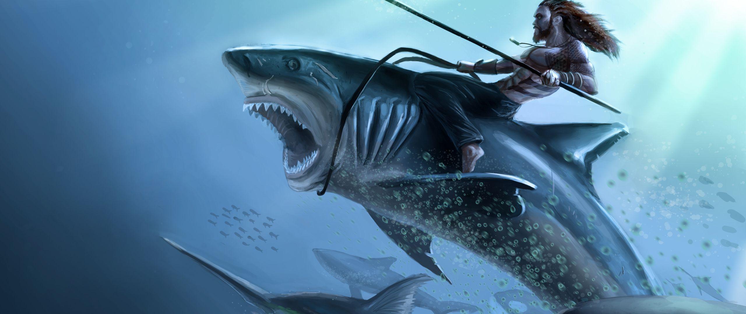 2560X1080 4K Shark Wallpapers Top Free 2560X1080 4K Shark Backgrounds