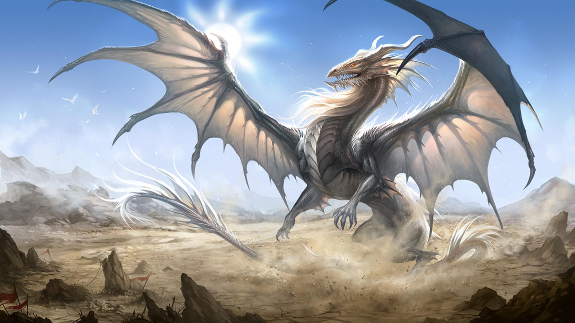 1920x1080 Dragon Wallpaper Android Phones Is High Definition Wallpaper You Can
