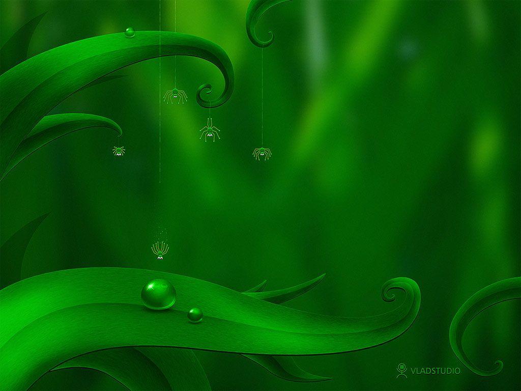 1024x768 Free download green background [1024x768] for your Desktop, Mobile & Tablet. Explore Green Wallpaper. Dark Green Wallpaper, Green Background Wallpaper, Green Wallpaper HD
