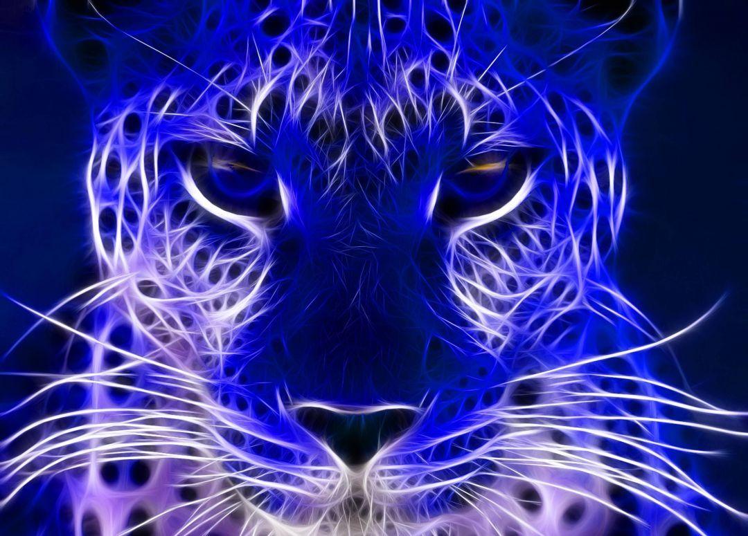 1080x775 Neon Animals, iPhone, Desktop HD Background / Wallpaper (1080p, 4k) (3733x2680) (2020)