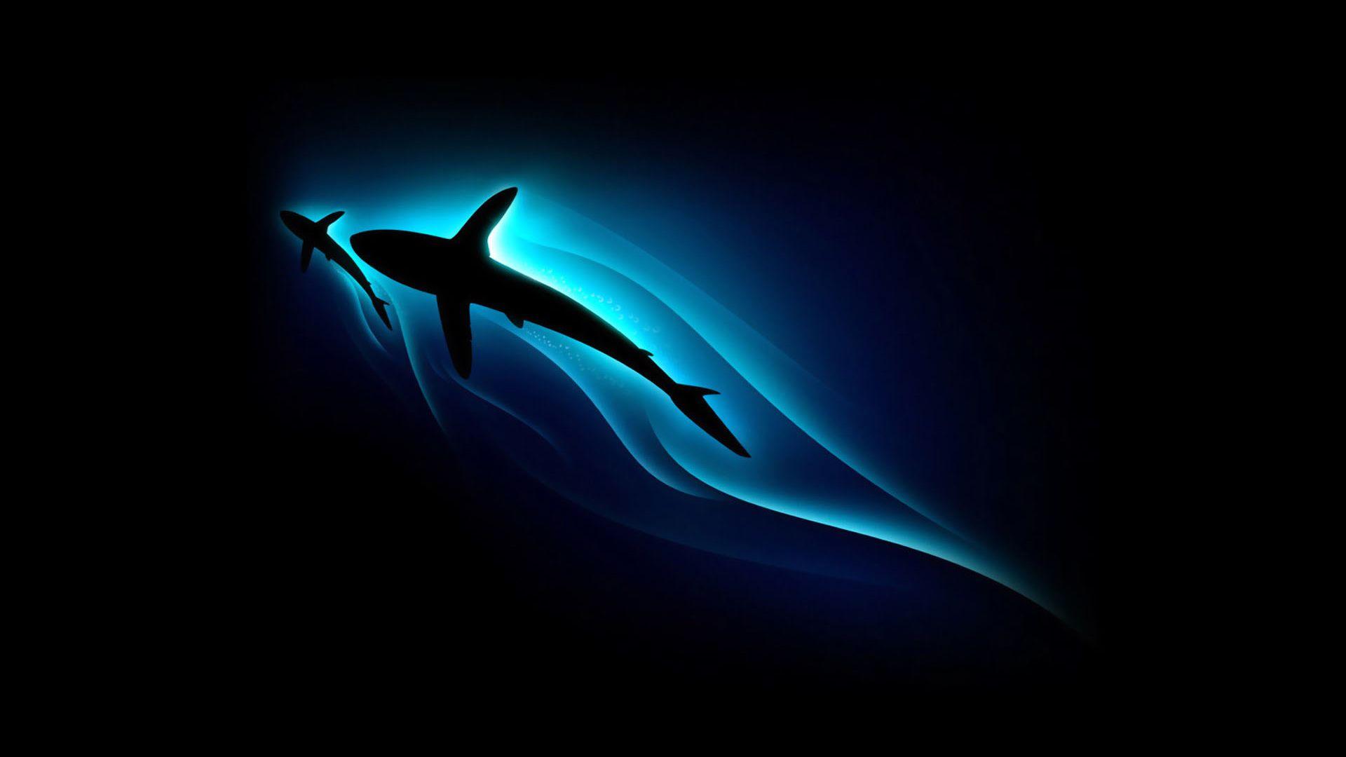 1920x1080 Wallpaper, background, cool, image, animal, fish