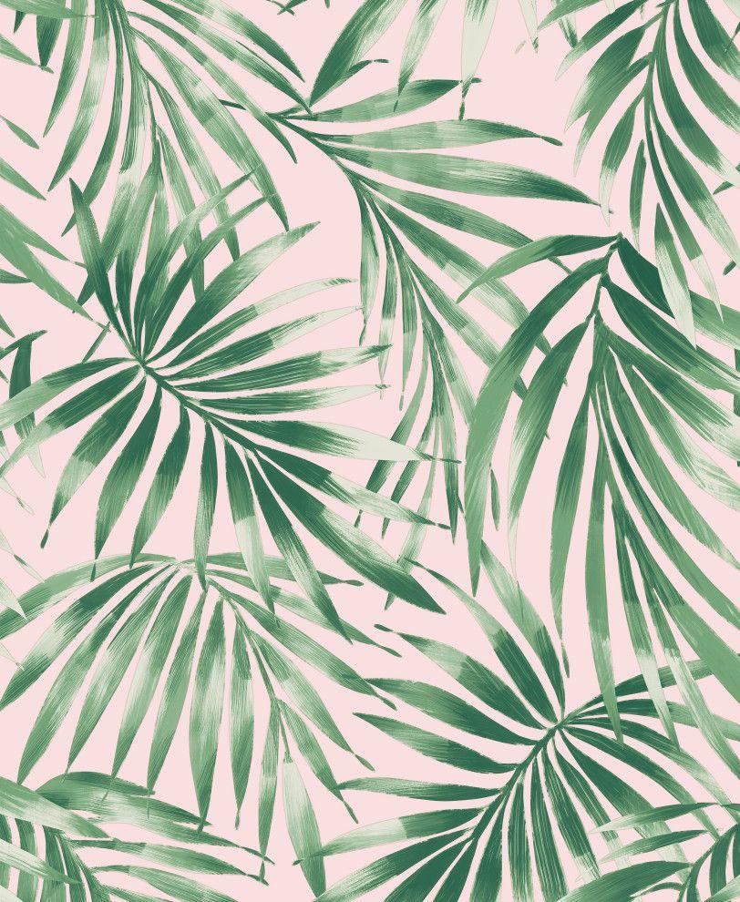 Buy Dimensions Pink Tropical Wallpaper Sample at Ubuy India