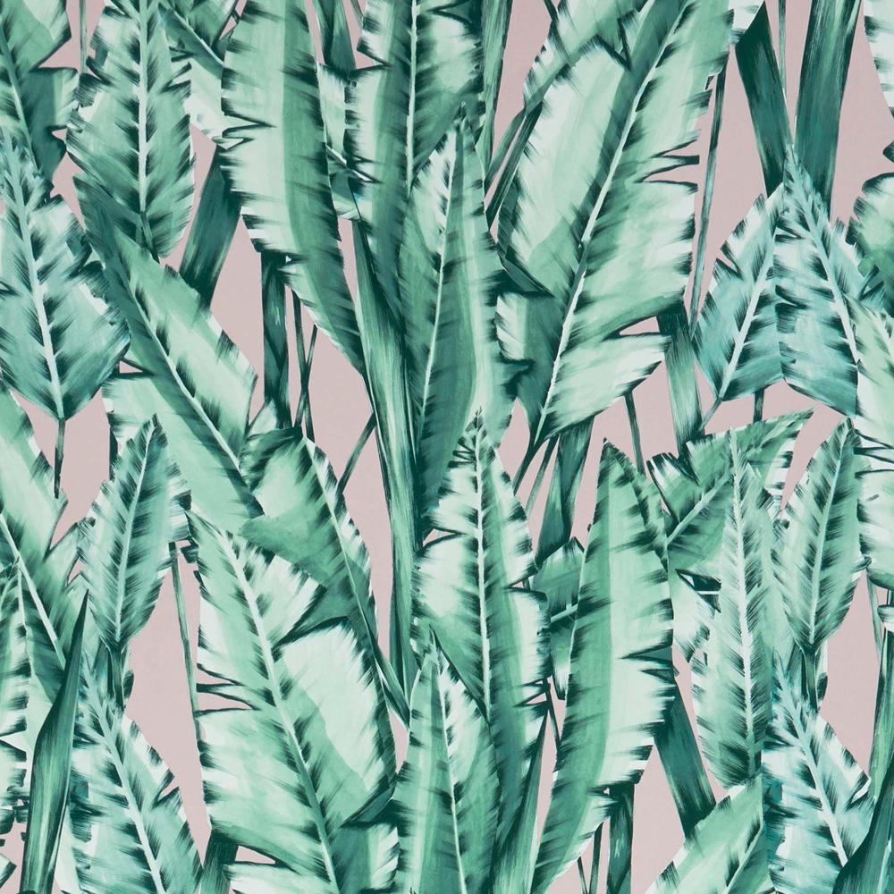 1000x1000 Tiger Leaf Wallpaper in Mint and Blush from the Folium Collection