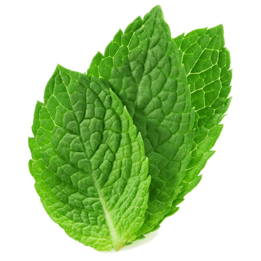 1000x1000 Mint, wallpaper v.6.8 jpeg, QX:41