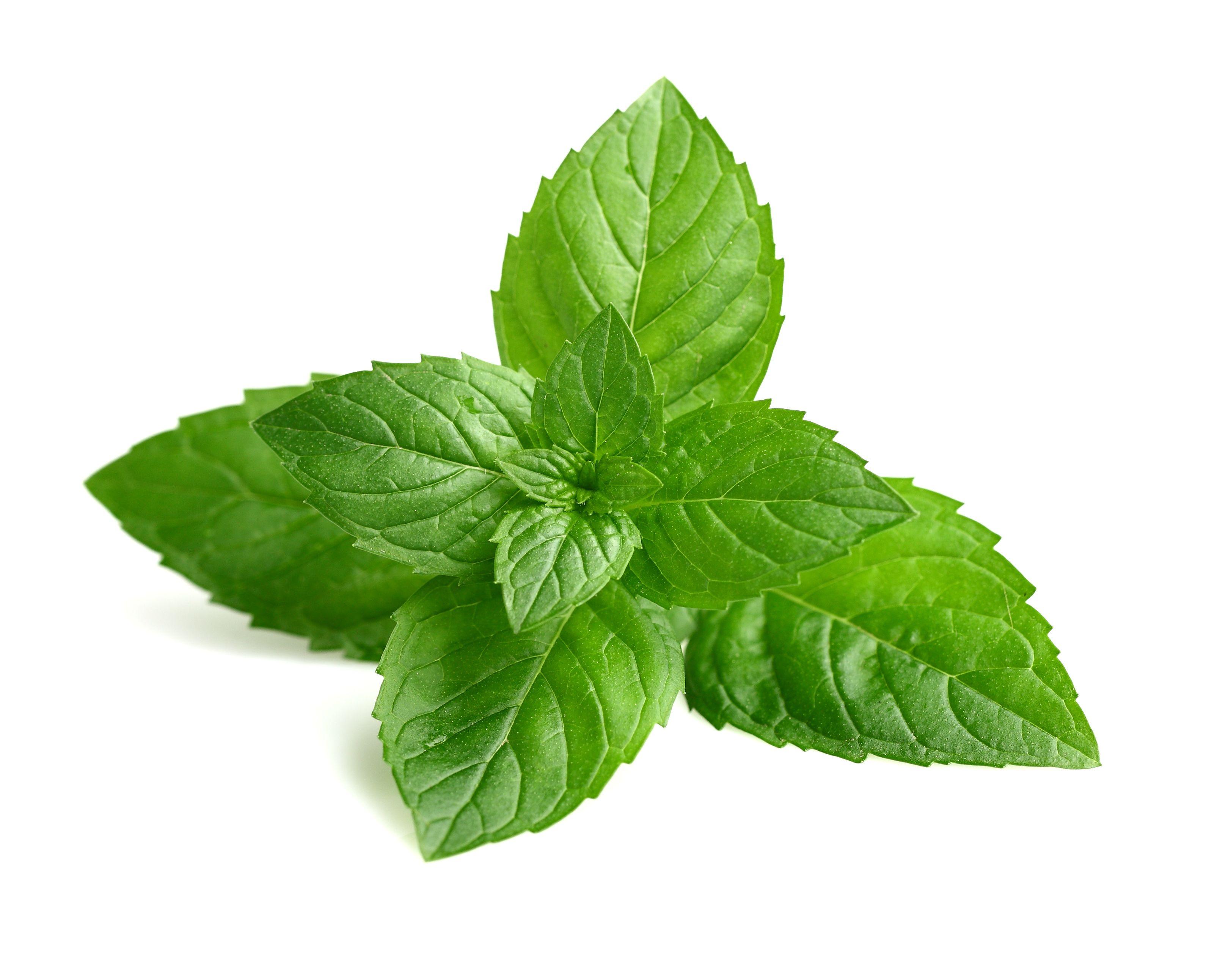 3209x2584 Desktop Wallpaper Mint Leaves #h691831. Food HD Image