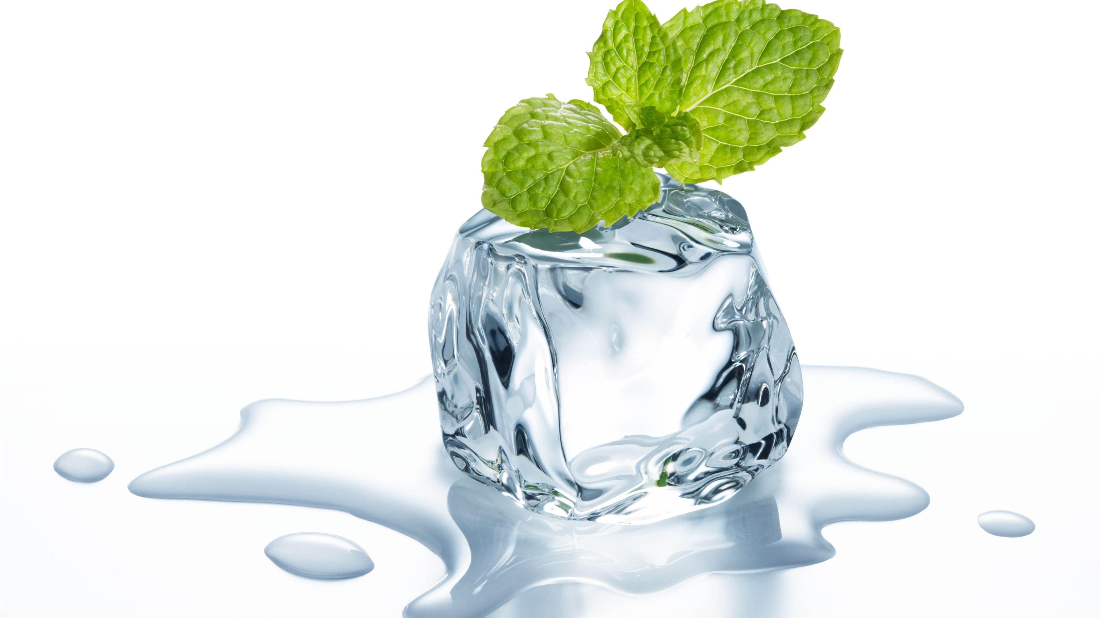 3840x2160 Wallpaper Ice cube, mint leaves, water, white background 3840x2160 UHD 4K Picture, Image