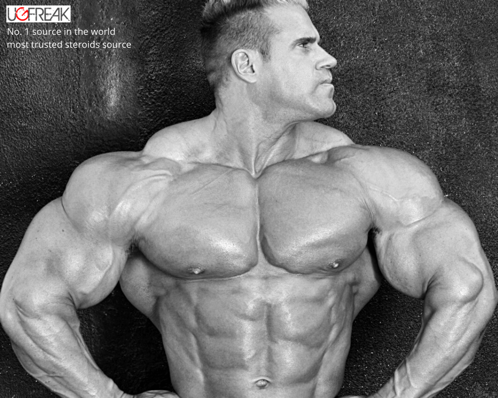 1000x800 Most Trusted Steroids Source. Bodybuilding, Biceps, Jay cutler workout routine