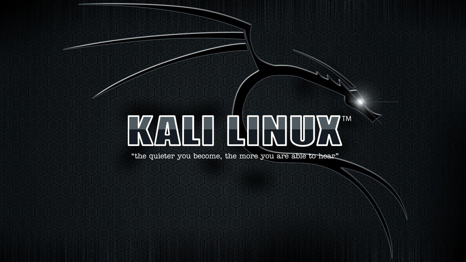 Kali Linux Black Wallpapers Top Free Kali Linux Black Backgrounds