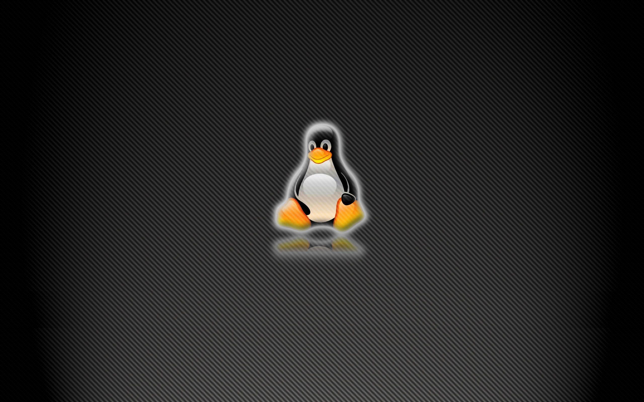 Linux Logo Wallpapers Top Free Linux Logo Backgrounds WallpaperAccess
