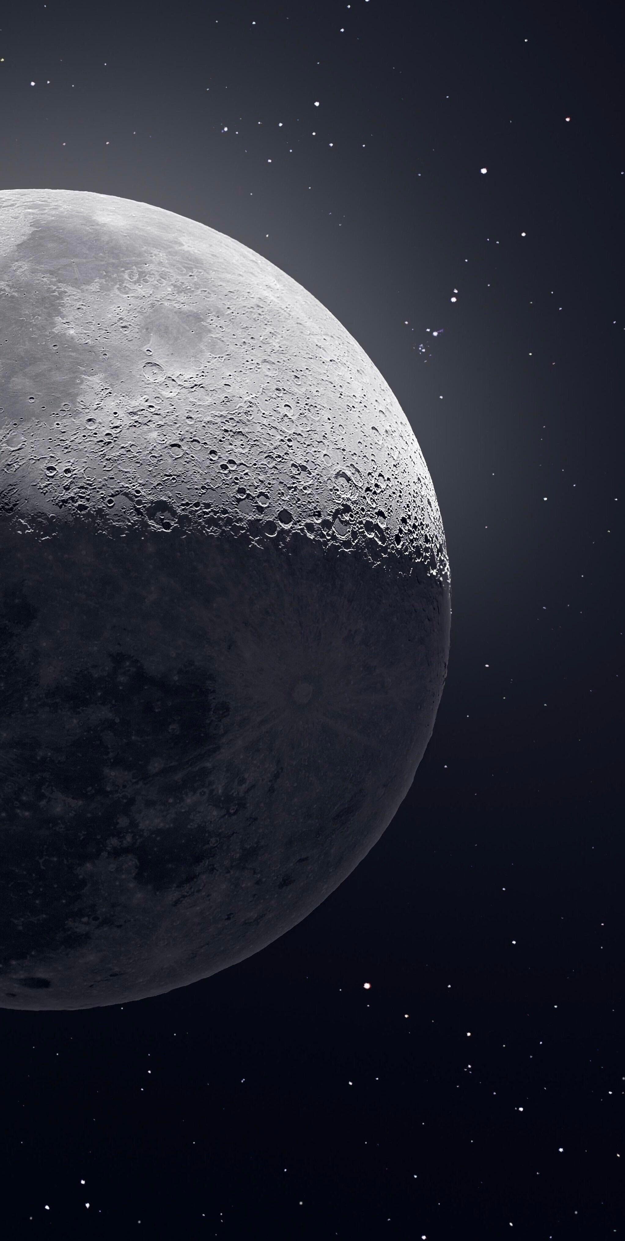 2045x4061 Love the details on this one!. iPhone X Wallpaper X Wallpaper HD