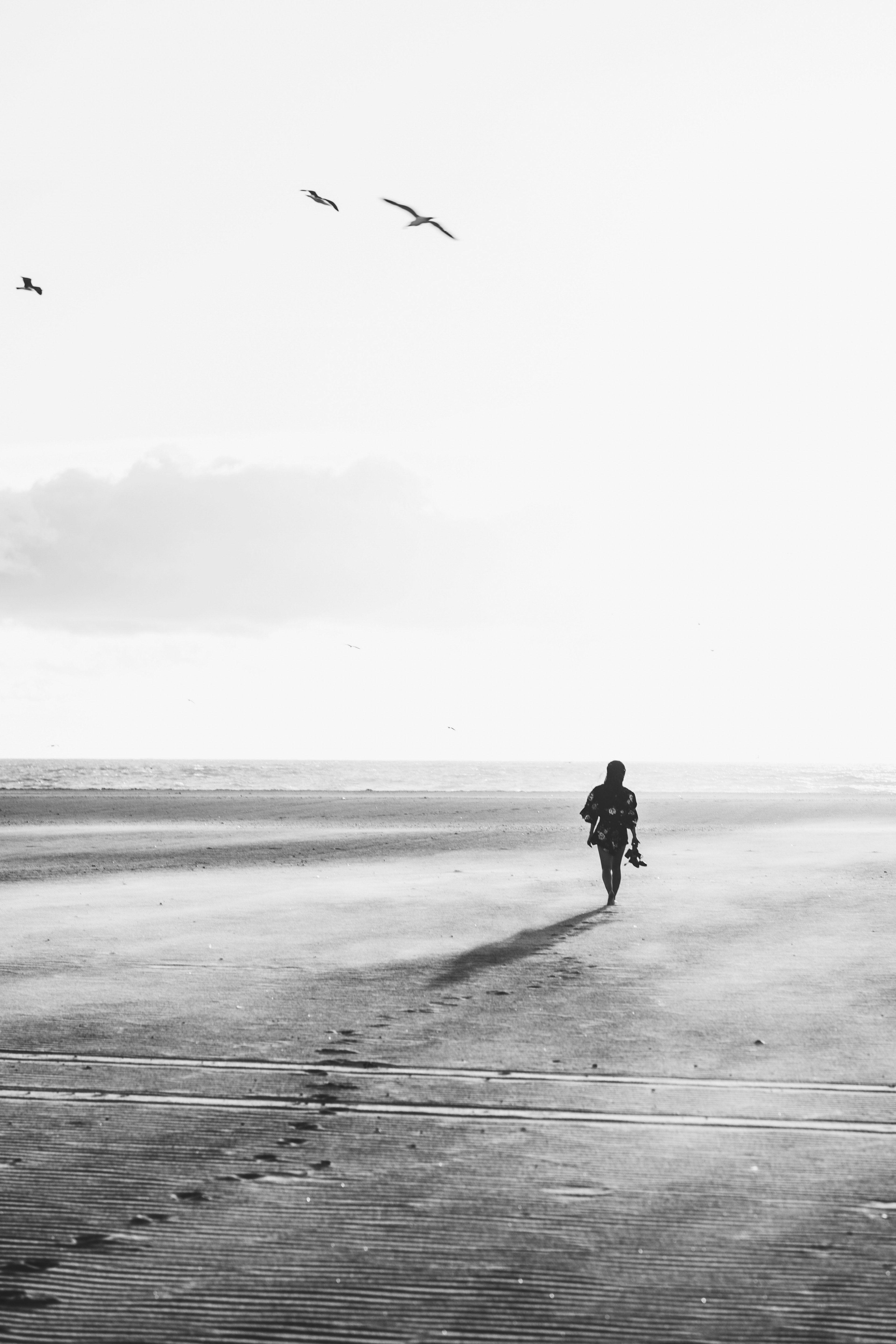 3840x5760 Wallpaper / venice beach ocean wind and black and white HD 4k wallpaper