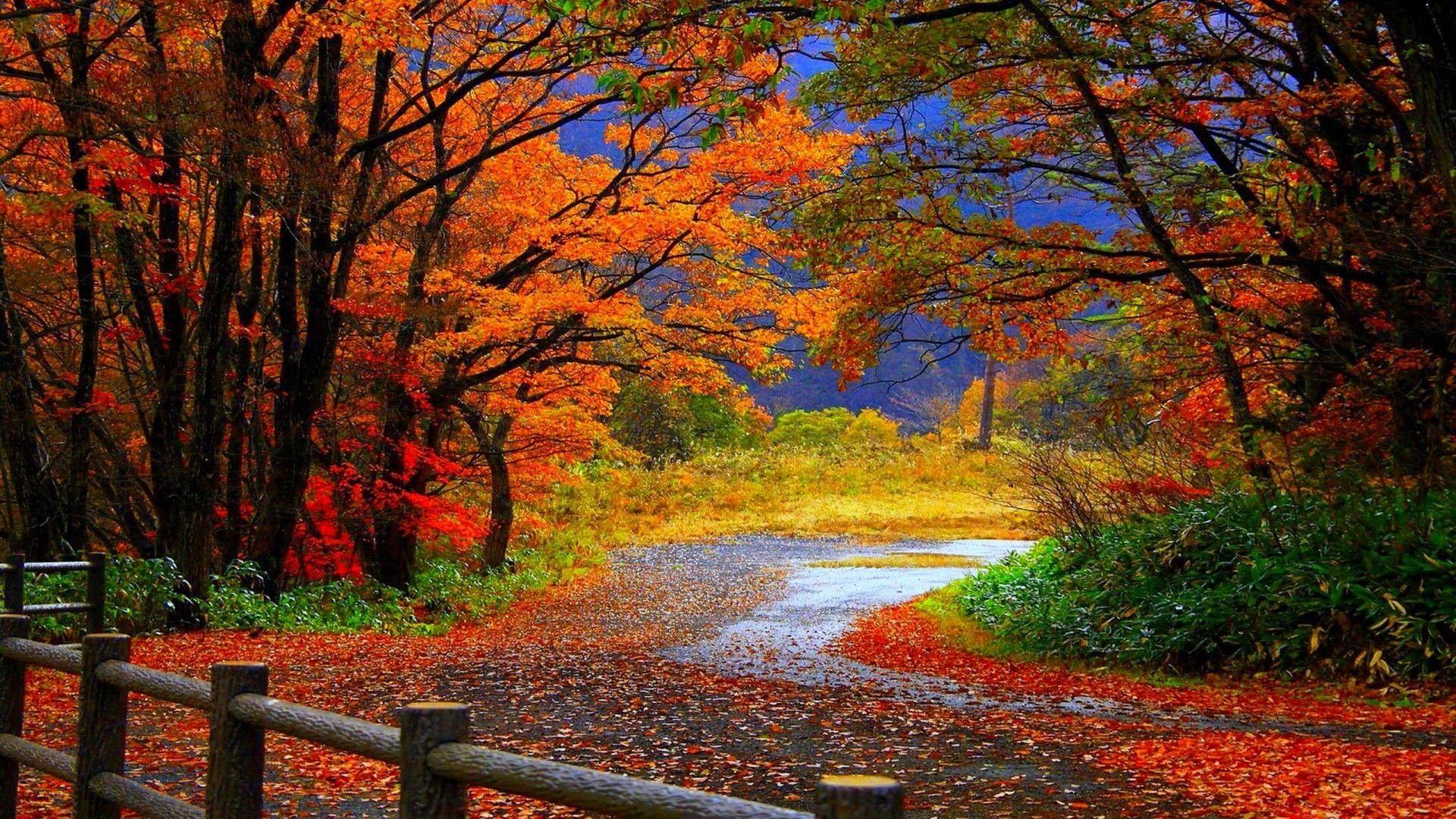 1920x1080 desktop wallpaper fall scenes HD desktop wallpaper 1600x900 - Blog.
