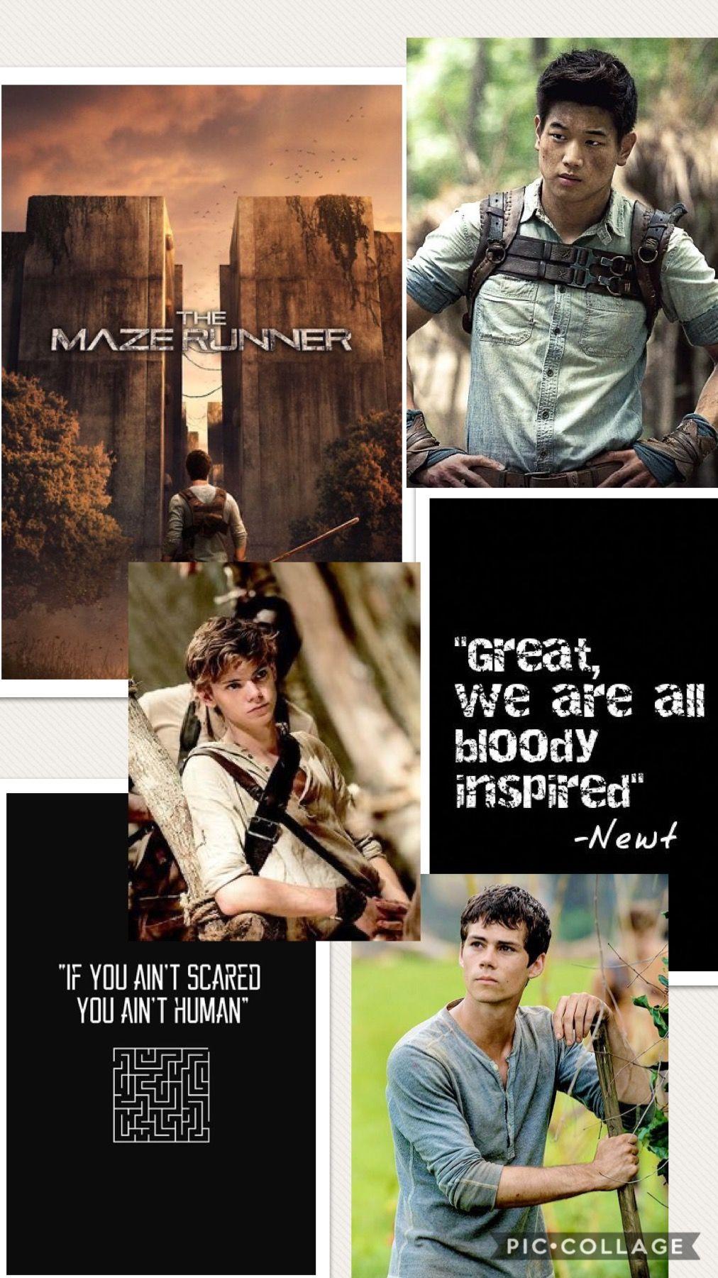 the maze runner newt and thomas