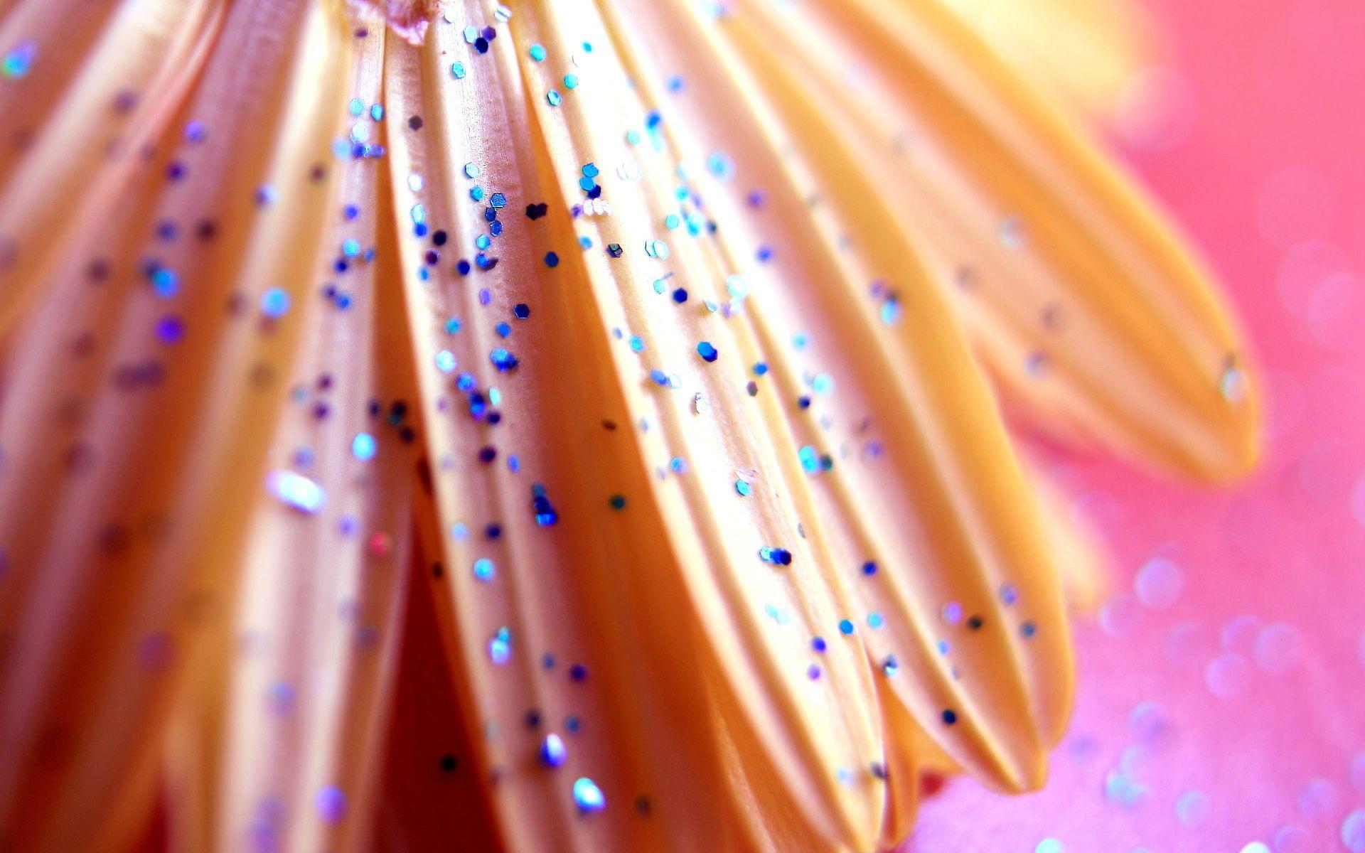 Glitter Flower Wallpapers Top Free Glitter Flower Backgrounds