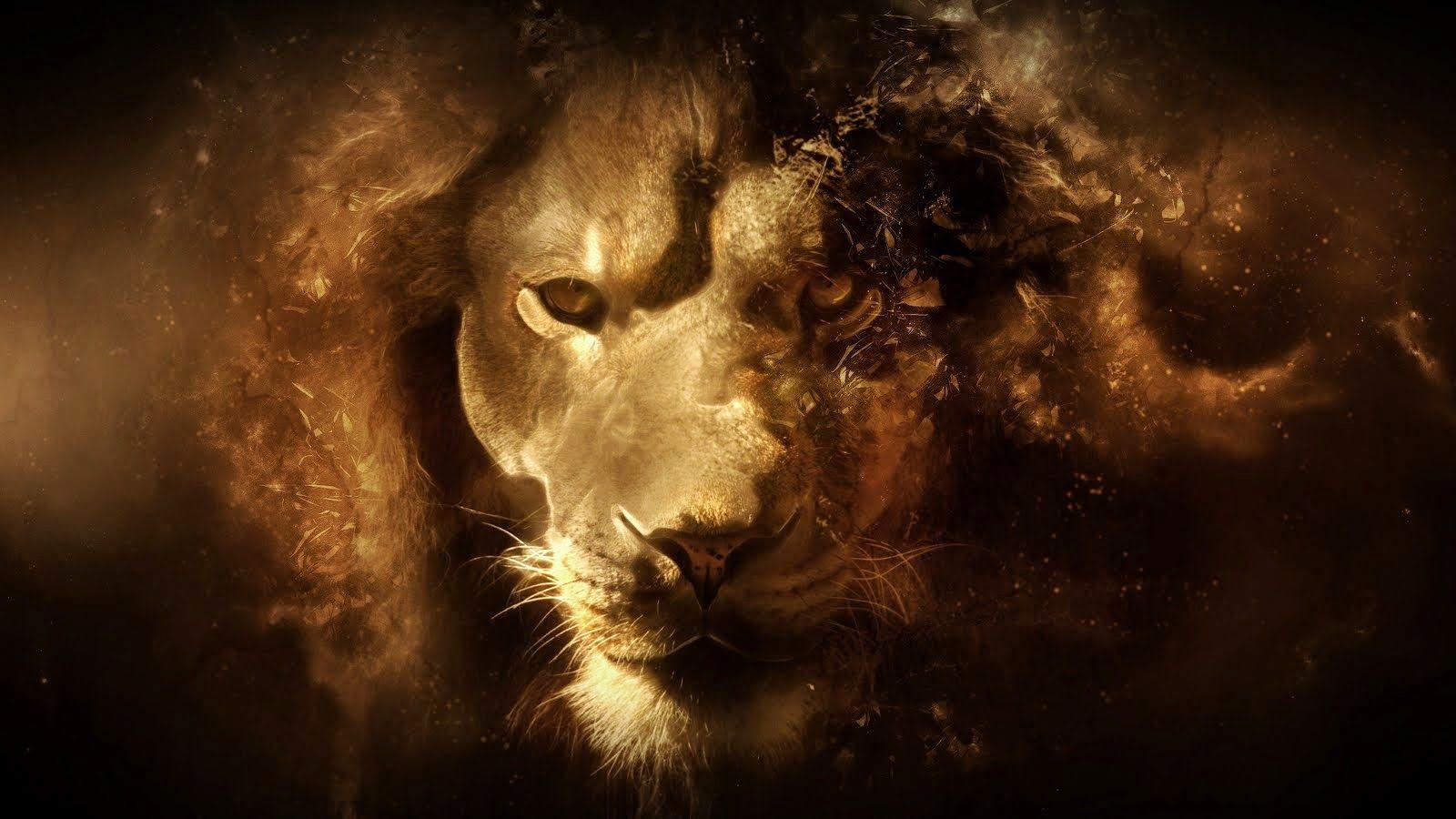 The Chronicles Of Narnia wallpapers HD for desktop backgrounds