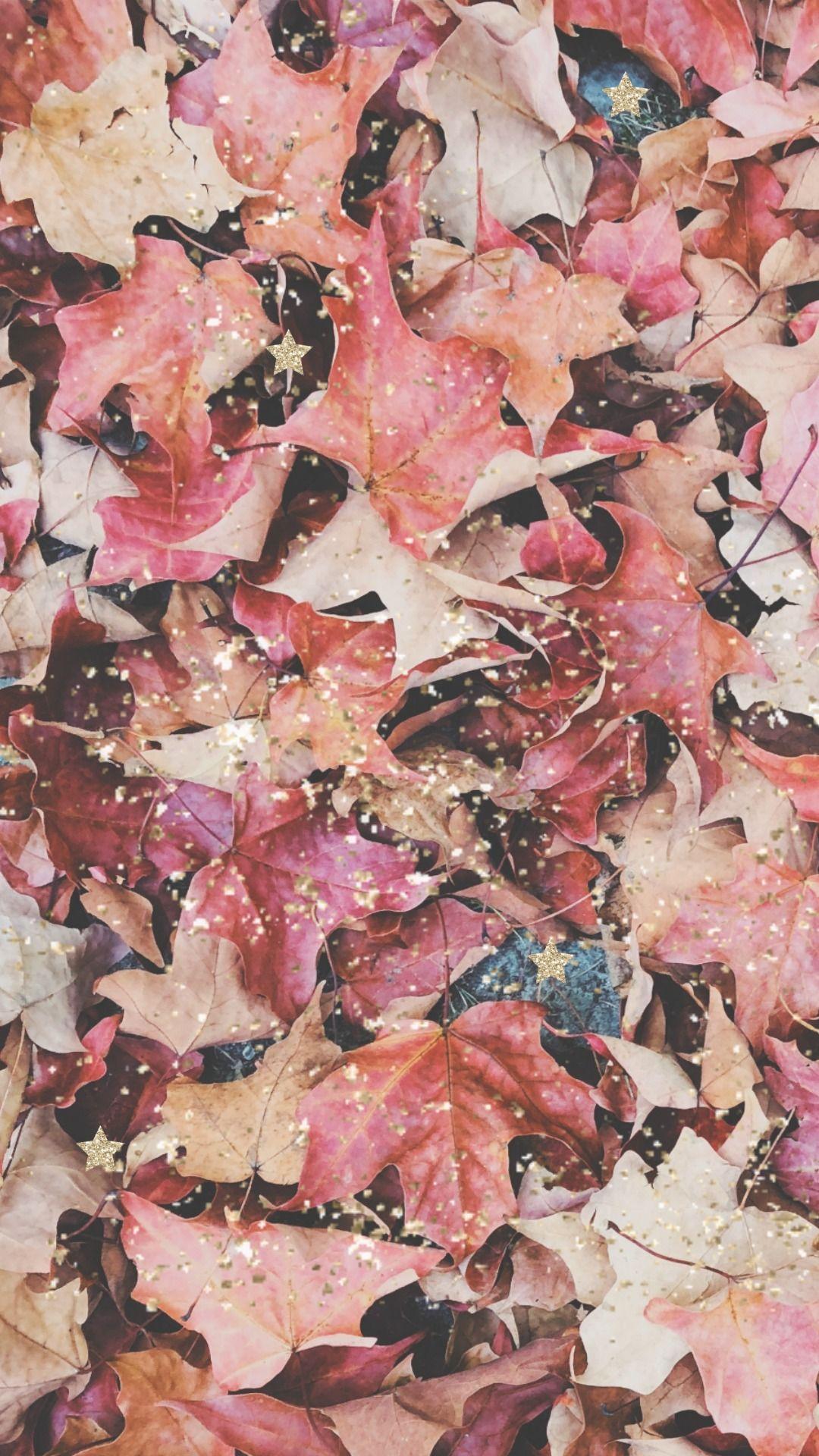 1080x1920 Free Amazing Fall Wallpaper Background For iPhone