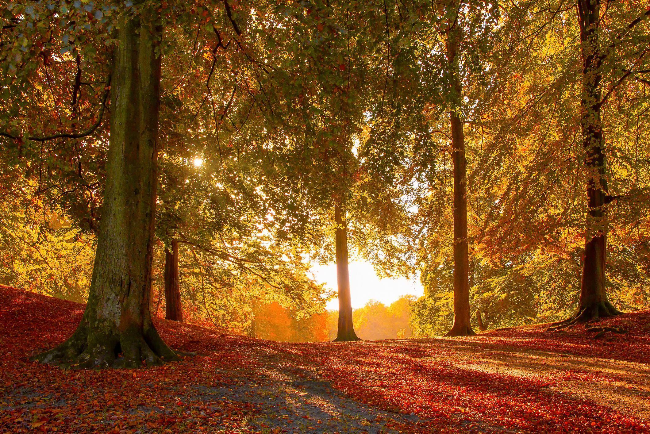2119x1415 Fall Season Quotes Sayings About Autumn
