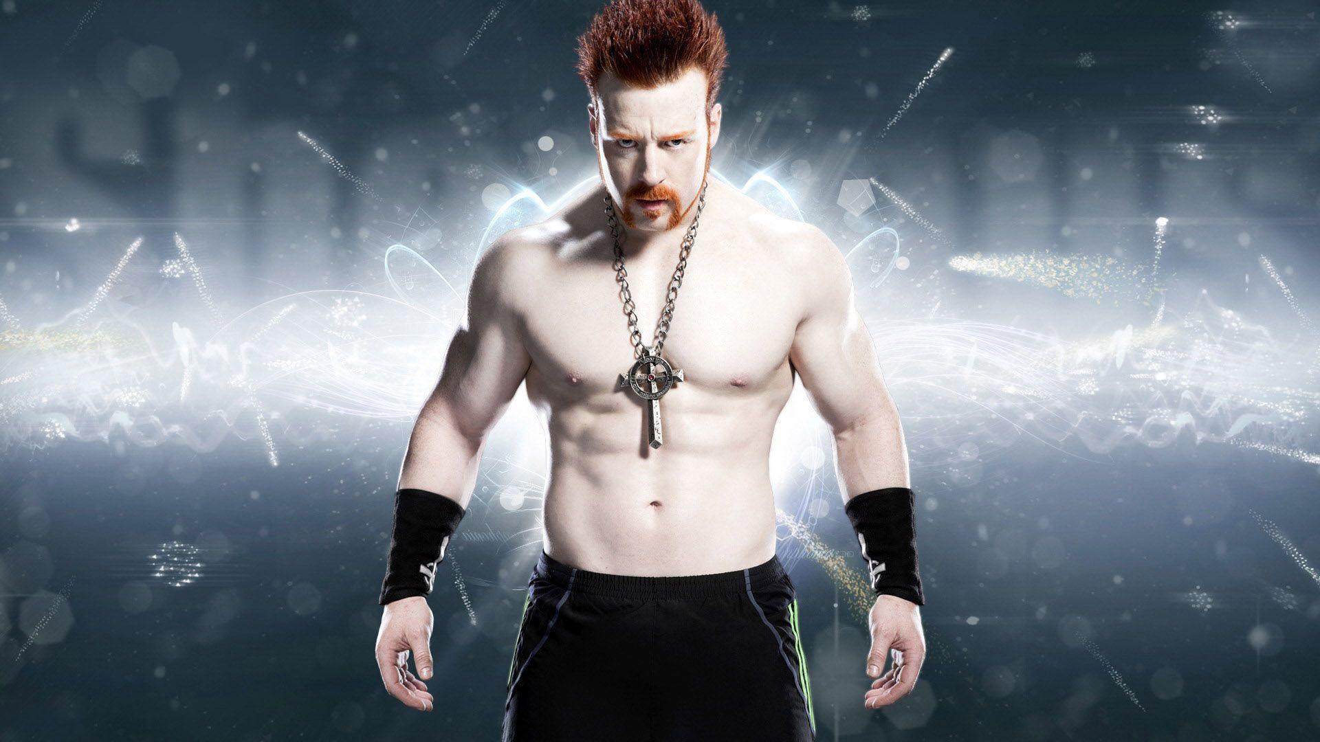 1920x1080 WWE Raw Superstars 2015 Wallpaper